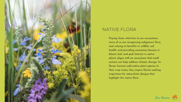 Native Flora from Slow Flowers Floral Insights 2024