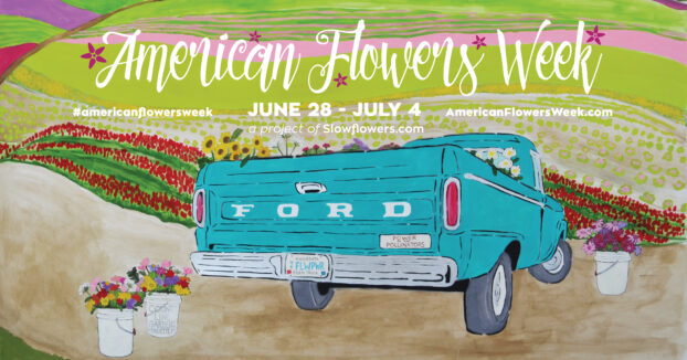 American Flowers Week 2026, by Amy Rice