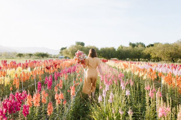 Hannah in the flower fields