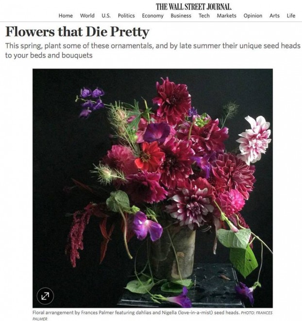 Slowflowers.com is quoted in The Wall St. Journal along with our member Christine Hoffman of Foxglove Market & Studio in St. Paul, MN