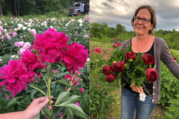 peonies and Eugenia Harris