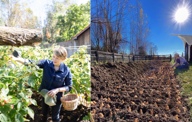 Growing at Six Dutchess Farm