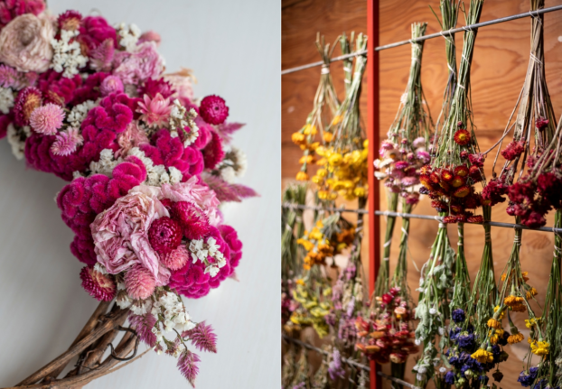 Dried flowers