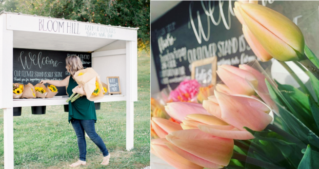 Bloom Hill Farm Stand