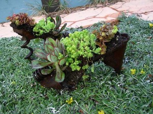 "Steel Heels," planted with succulents
