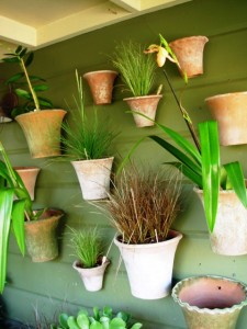 Botanik's entry porch converted into a potted plant display
