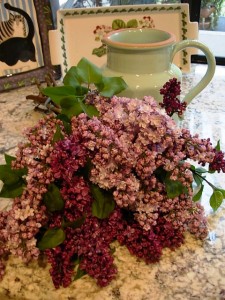 My fresh lilacs, home from the market