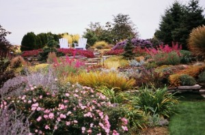 Linda Knutson and Ron Sell's magnificent Yakima landscape, photographed on our October 2005 tour