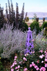 A perfect autumn scene at Linda and Ron's, which to me perfectly illustrates an analagous color scheme in plants and art 