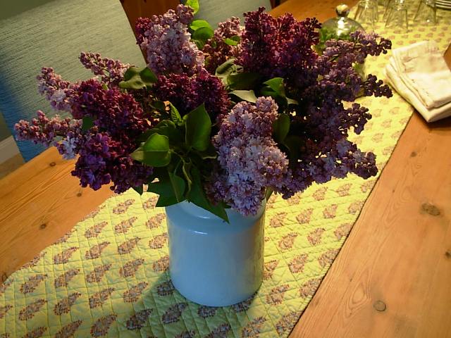 My lovely bouquet of California-grown lilacs from Kilcoyne Lilac Farm