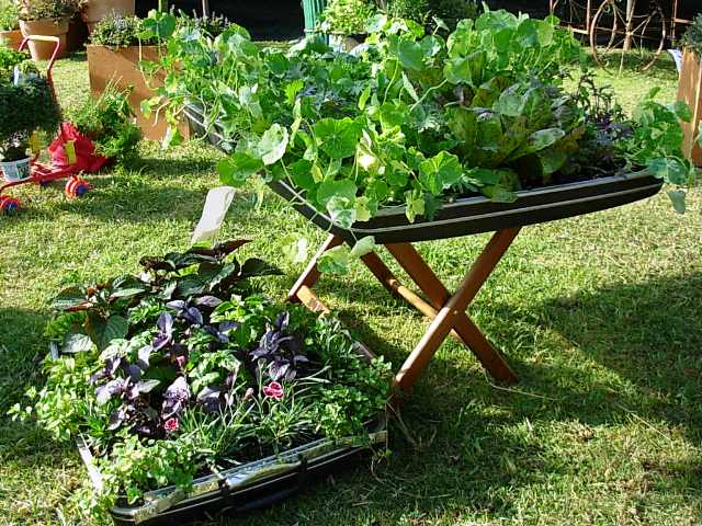 "Salad, to go" - a portable and packable salad garden for the urban chef. Created by Stephanie Bartron of SB Garden Design