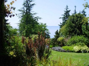 Here's the view from Betty Miller's house on a picture-perfect Saturday in June