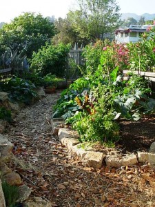 A central pathway cuts through the narrow garden with no-dig beds lining each side