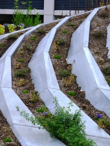 Fluid, shaped metal planting channels hold veggies and herbs