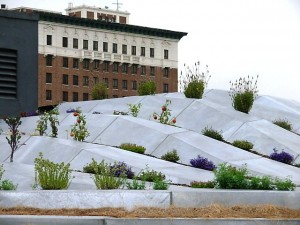 A sculptural vegetable garden grows on a downtown Los Angeles rooftop