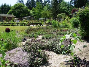 A view of the display gardens and chocolate plant nursery