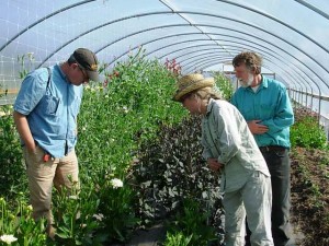 David Perry, Diane Szukovathy and Dennis Westphall at Jello Mold Farm