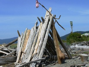 Driftwood shelter on Spencer Spit