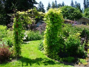 A chartreuse and black plant display