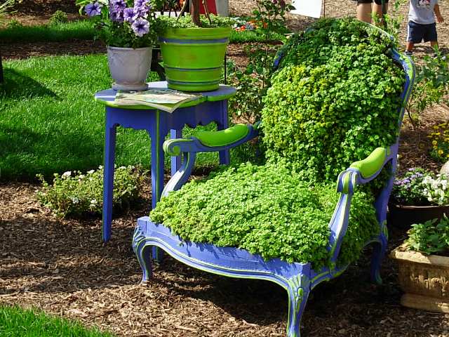 A sedum armchair. Lush and fluffy. Makes you want to sink right in. I love that the lime green arms have been painted to pick up the bright foliage.