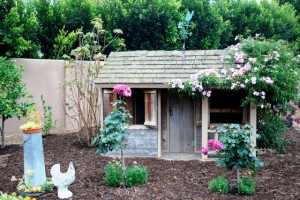 Bonnie Manion's hens live in a renovated children's playhouse!