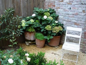 Pretty and inviting, a corner garden