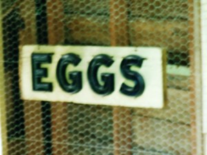 A vintage EGGS sign hangs in Kathy Fries's fanciful coop