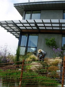 Margarido House, enhanced by a soft, sustainable garden