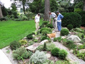 Graham Ray (center), showing Lois Brummit (right) and friend Mary Halyburton his dwarf conifer collection