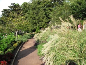 Drifts of ornamental grass spill onto the path in the terrace garden