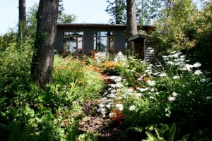Sina Pearson relies on regular visits to her island garden in Washington state to inspire her teextile designs.