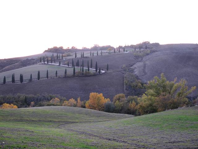 A view from La Foce of the zig-zagging, hilly drive, dotted with Italian cypress. It is the most-photographed scene in Tuscany.