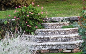 Various shades of lichen have turned stone steps into a lovely tapestry of hues.
