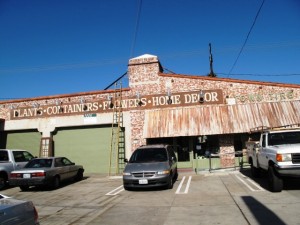 Tire dealer-turned-garden emporium, in a historic, weathered building that's full of character