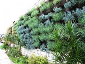 The analagous blue-green plant palette nearly covers the exterior of Nelson's Smog Shoppe event space in Los Angeles