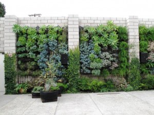 Interior walls of the courtyard are planted top-to-bottom 