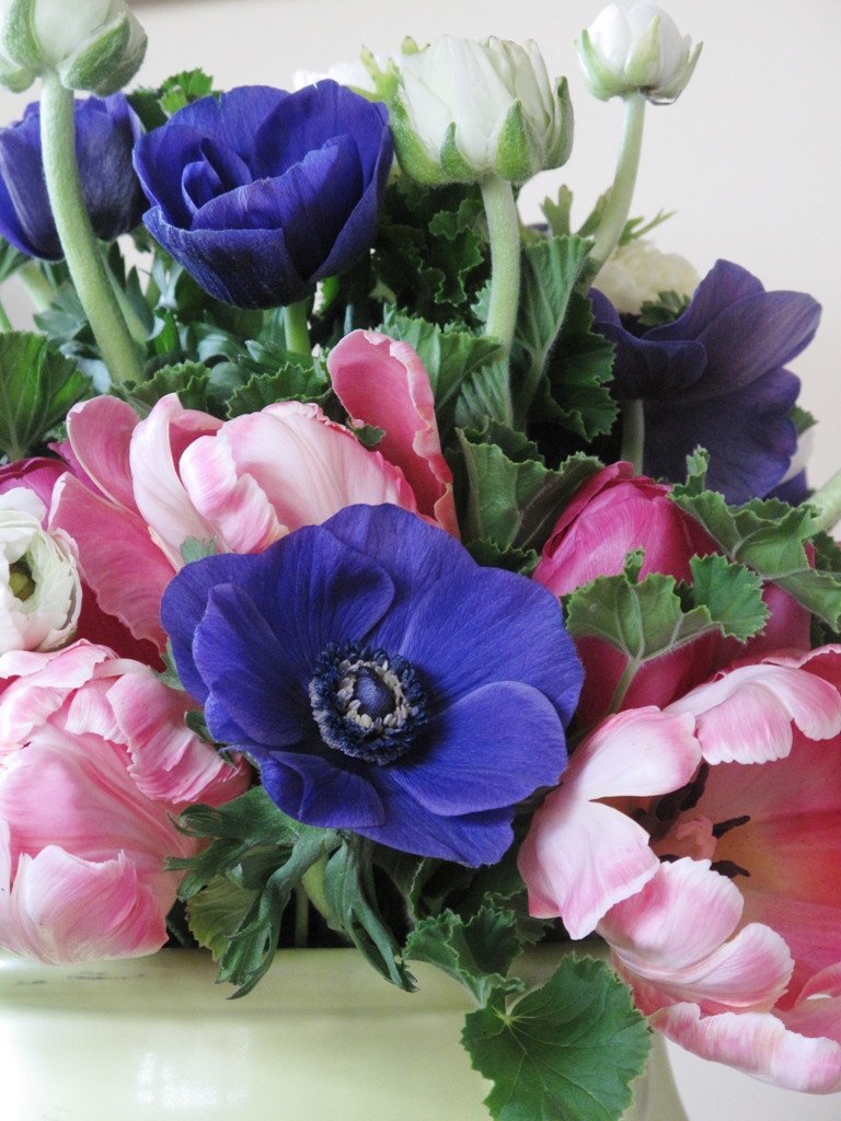 Pink parrot tulips, dark pink garden tulips and yummy purple-blue anemones are happily nestled together