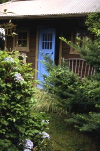 Garden shed with Blue Door