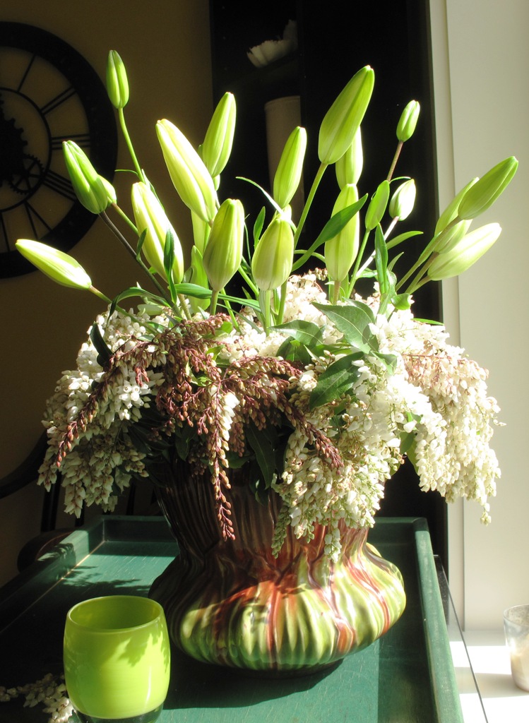 Two "lily" elements fill my antique majolica cachepot, set in the dining room window to catch the rare winter rays of sunshine