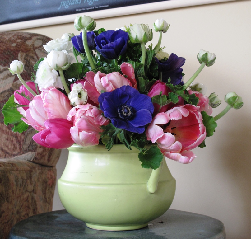 SPRING: Two types of pink tulips, Oregon grown; plus pelargonium foliage, white ranunculus & deep purple-blue anemones from California