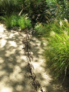 A whimsical trail of sculptural ants marches across the garden