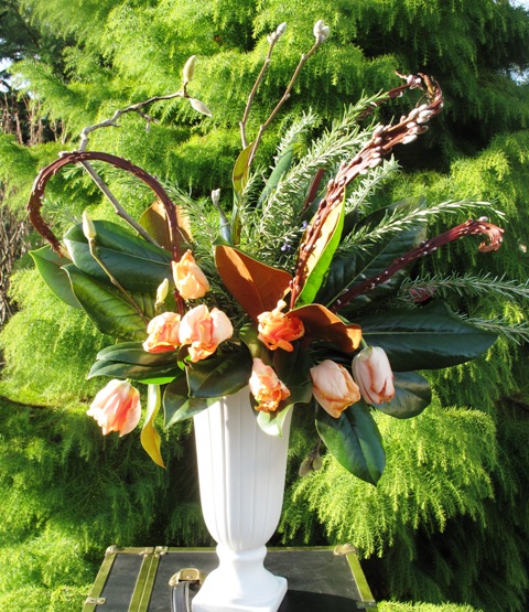 Evergreen magnolia (Magnolia grandiflora), parrot tulips, rosemary, Japanese fantail willow and bare magnolia branches in bud fill one of my favorite white vases.