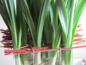 The daffodil stems are stabilized by a "raft" of twigs, lashed to cover the opening of the vase.