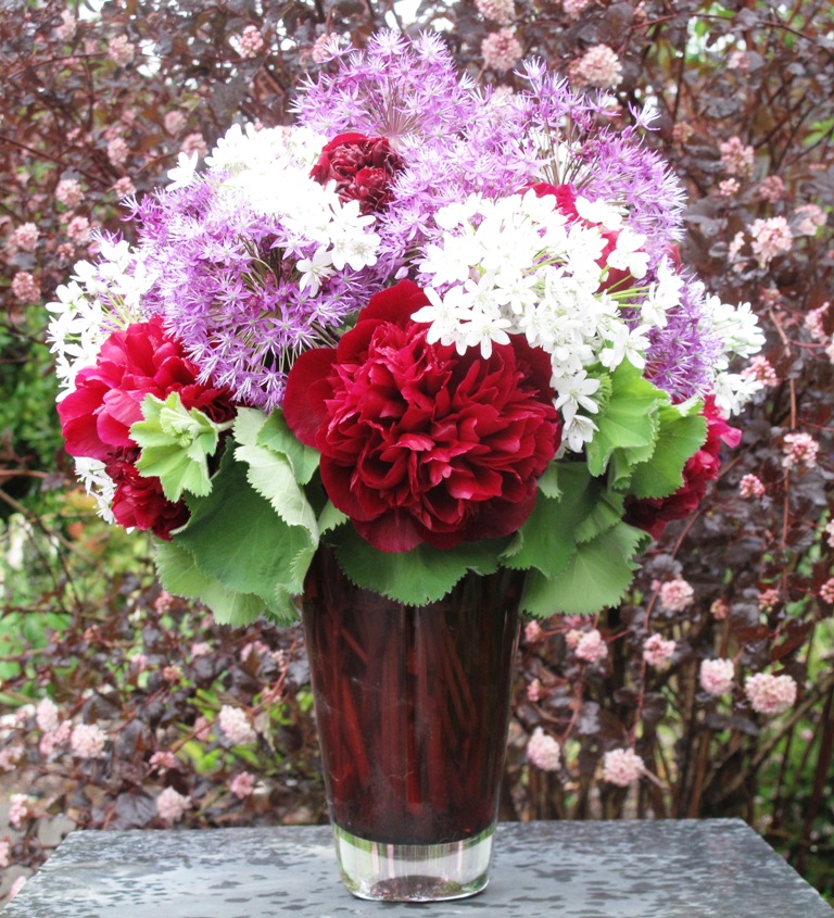 Peonies from Ojeda Farms