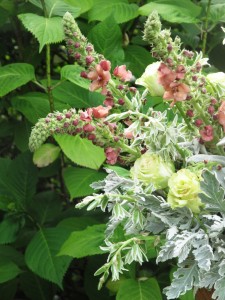 Pastel flowers in detail