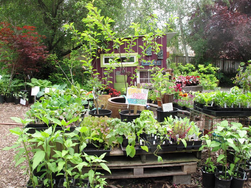Get lost in the nursery where you'll discover wonderful, hand-picked plants for your own garden.
