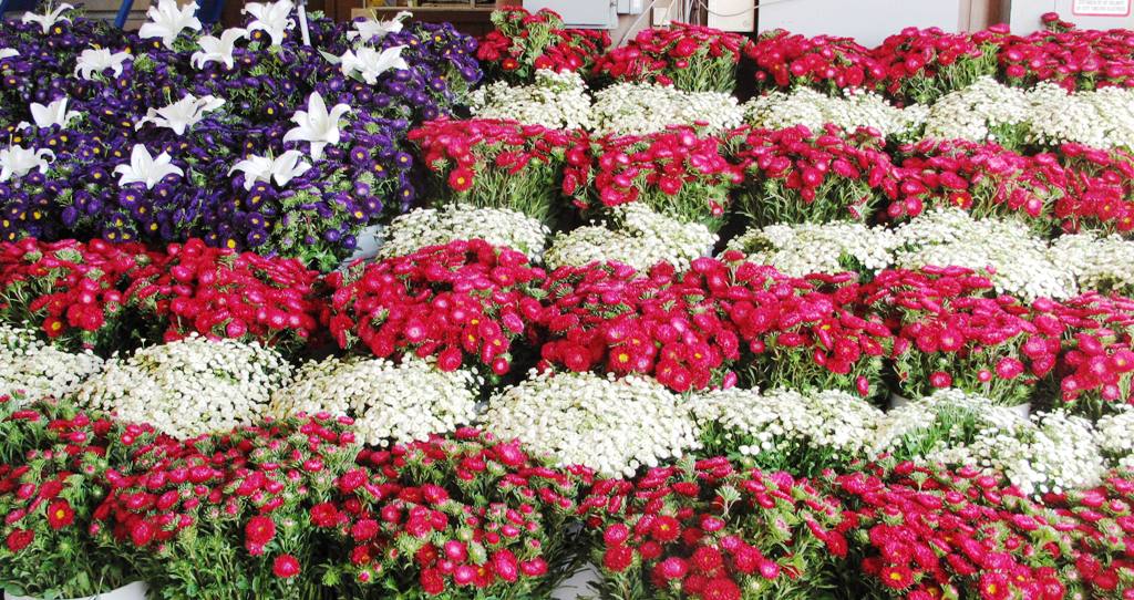 Red, White & Blue Flower Flag