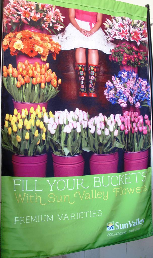 Fill Your Buckets with Blooms