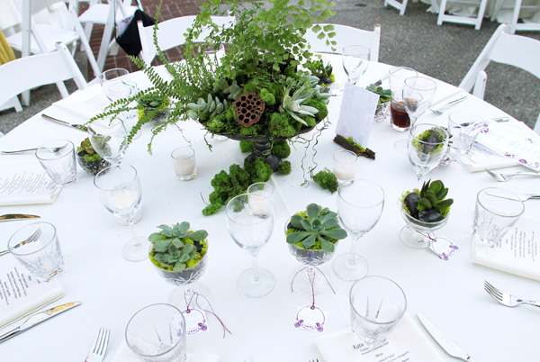 Succulents grace the wedding table for a Gorgeous and Green client.