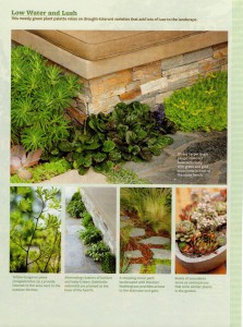 Foliage in various colors and textures fills the planting gaps at the base of the fireplace benches. 
